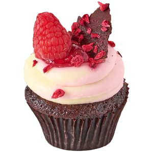 Chocolate and Raspberry Mini Cupcake
