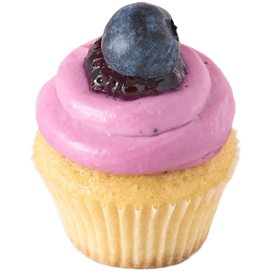 Blueberry Mini Cupcake