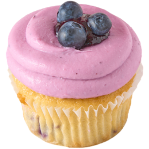 Blueberry Cupcake